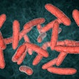 probiotic-bacteria-reds