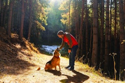 Sustainable-dog-scene