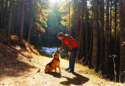Sustainable-dog-scene