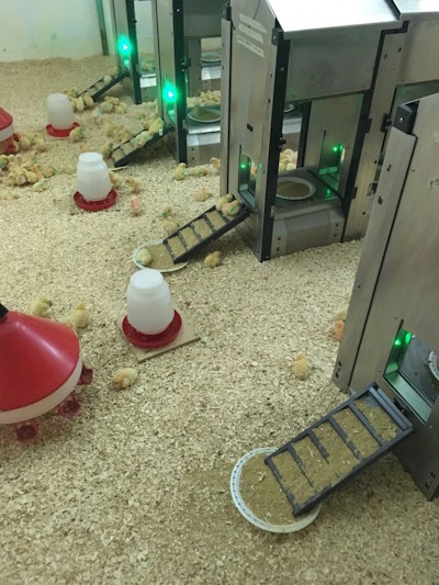 In the future, specialized feeding systems could be capable of blending specific diets catered to an animal’s unique nutritional needs. (Martin Zuidhof)