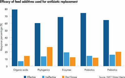 Efficacy Of Antibiotic Replacement Feed Additives 2022