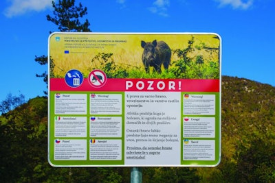 To date, no ASF-affected countries have been able to eradicate the disease. (Dragoncello | iStock.com)