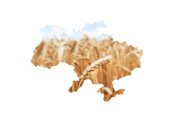 Image Of A Map Of Ukraine On A White Background. Texture Of Yell