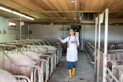Young Female Doctor Wearing Lab Coat Walking On Pig Farm Indoors