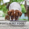 Dog Eating 2