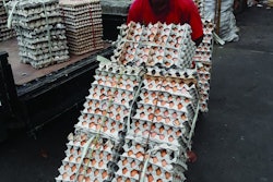 The continued expansion of egg production in Indonesia is providing much needed protein. Vincent Guyonnet