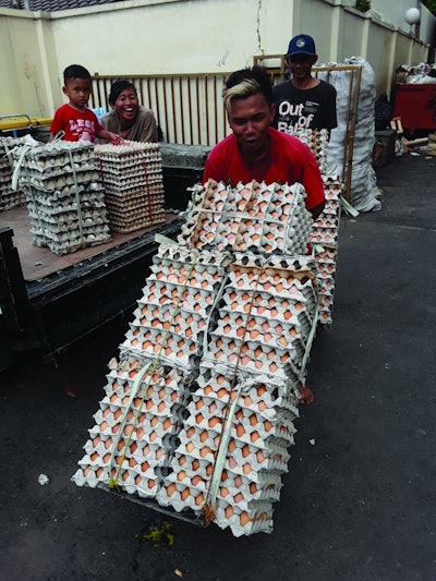 The continued expansion of egg production in Indonesia is providing much needed protein. Vincent Guyonnet