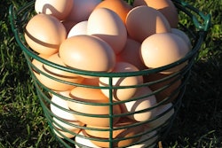 Courtesy of Andrea Gantz