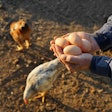 Vbaleha | Dreamstime.com