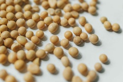 Polina Tankilevitch | PEXELS