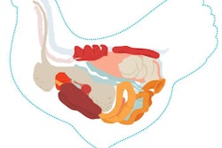 chicken-anatomy-diagram