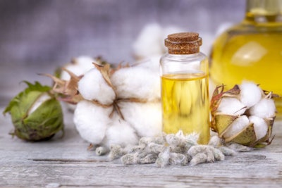 Cotton Plant Ball And Cotton Oil In Small Bottle