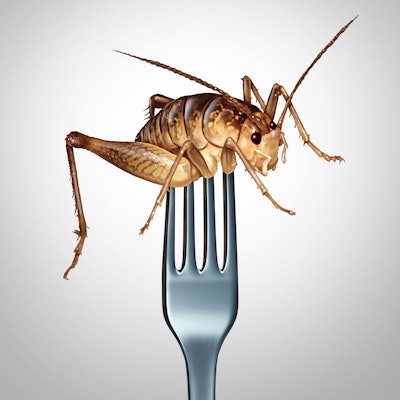 Eating Insects