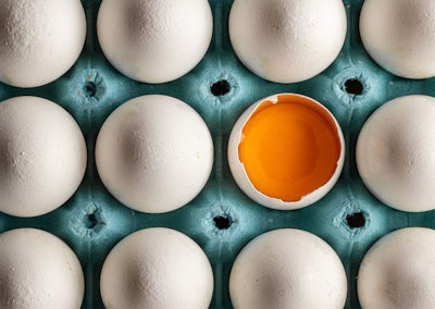 Organic Fresh Chicken Eggs Arranged In Egg Tray. Half Broken Egg