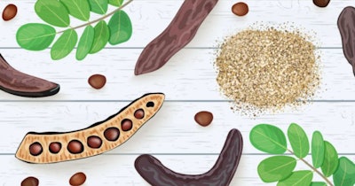 Carob Bean Illustration
