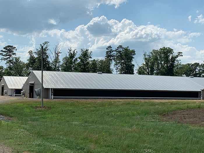 In Cullman, Alabama, a 2019 demonstration project conducted by Tyson Foods, Auburn University and Southern Solar Systems aimed to create a poultry house that used solar power as the primary energy source. Heat pumps were added to help capture otherwise wasted solar energy. (Dennis Brothers | Auburn University College of Agriculture)