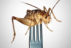 Cricket on fork scaled