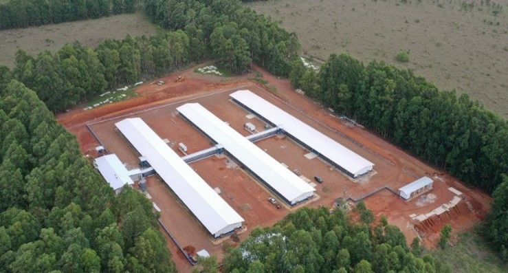 Aviagen's facility in Luzi&acirc;nia, Brazil, is expanding to keep up with the demand for Hubbard Efficiency Plus broiler breeders. (Courtesy Aviagen)