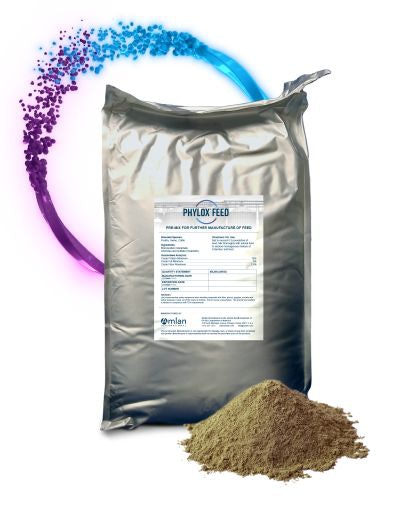 Phylox Amlan International