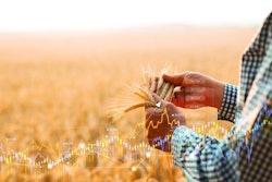rising-commodity-costs-inflation