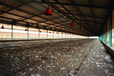 Western Negev, Israel - March 19, 2006: What remains of the thousands of turkeys that were killed in Moshave Sde Moshe, Israel.