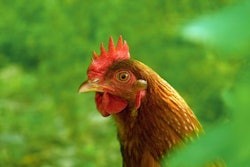 onur | FreeImages.com