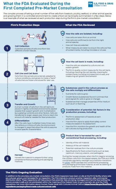 Fda Lab Grown Meat 1