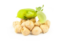 Uncooked Dried Chickpeas With Raw Green Chickpea Pod Plant Isola