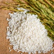 Jasmine White Rice On Sack And Harvested Yellow Rip Rice Paddy,