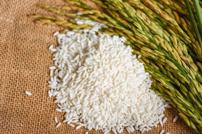 Jasmine White Rice On Sack And Harvested Yellow Rip Rice Paddy,
