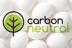 Photo illustration by Tess Stukenberg with images from iStock