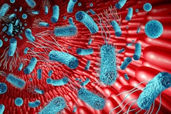 Microbiome In The Gut Concept As Bacteria Flora Inside An Intest