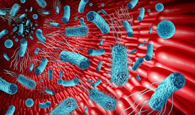 Microbiome In The Gut Concept As Bacteria Flora Inside An Intest