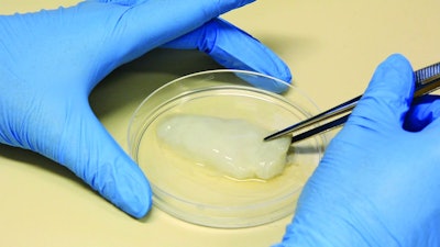 By the end of this year, cultivated chicken breast should be ready for nutritional and sensorial testing. Lucas Scherer