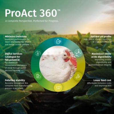 Dsm Pro Act 360