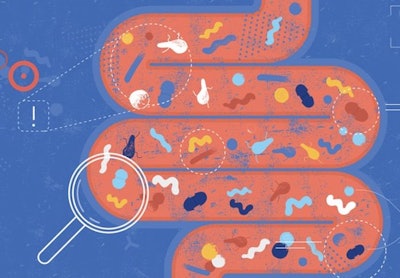 Campylobacteriosis and salmonellosis are the two most commonly reported zoonoses in the European Union. Latest data reveals a slight increase in cases. (DrAfter123 | iStock.com)