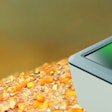 Romer Labs Agrastrip Pro Feb 2023