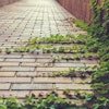ivy-covered-brick-pavers-pathway