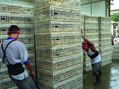 Dragging stacked cages across the floor reduces their useful life. Investment in a simple cart would result in the cages lasting for longer and staff tiring less quickly. Eduardo Cervantes López