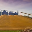 Gravista Centynal Header Image FG Silos Grain Piles