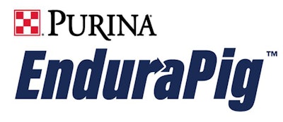 Purina Endura Pig 1