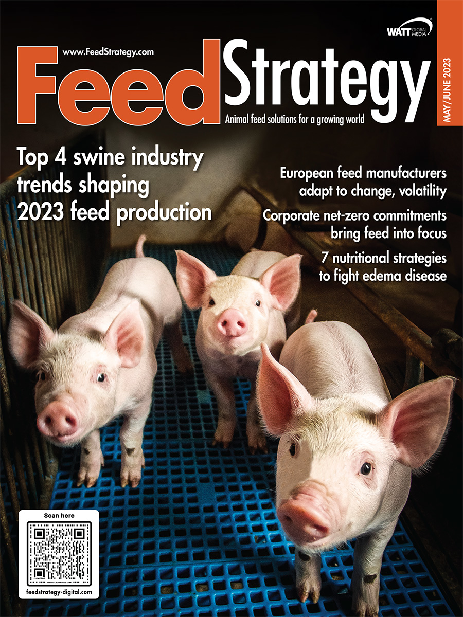 Feed Strategy May/June 2023