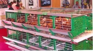 0712PIweb-PIspace1-1