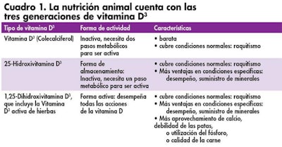 1601 I Avitamind Table Copy