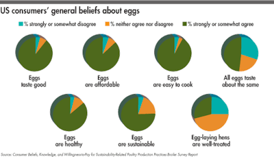 US-consumers-general-beliefs-about-eggs