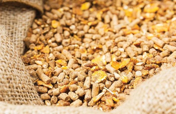 Animal-feed-enzymes-1602Backtobasics.jpg