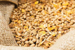 Animal-feed-enzymes-1602Backtobasics.jpg