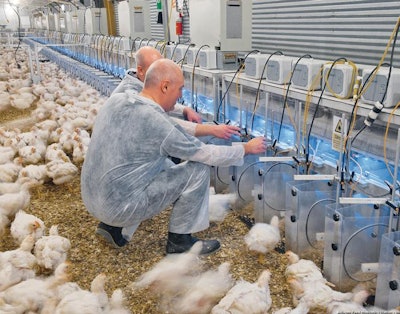 Aviagen Feed Monitoring Station 2