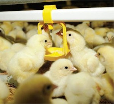 Bio Cide International Pro Oxine Ah