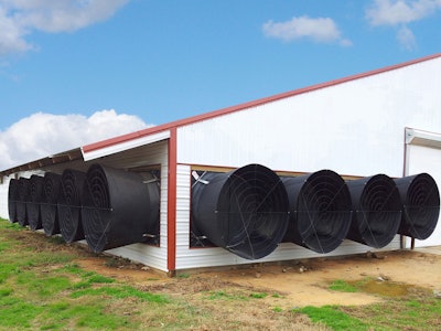 Chore_Time_Endura_Fan